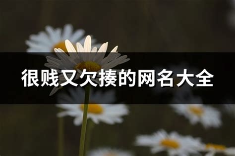 欠揍網名|那些很贱很欠揍的网名（100个）